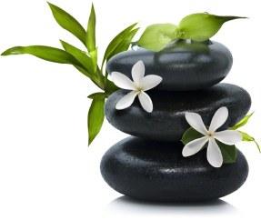 The Spa Space